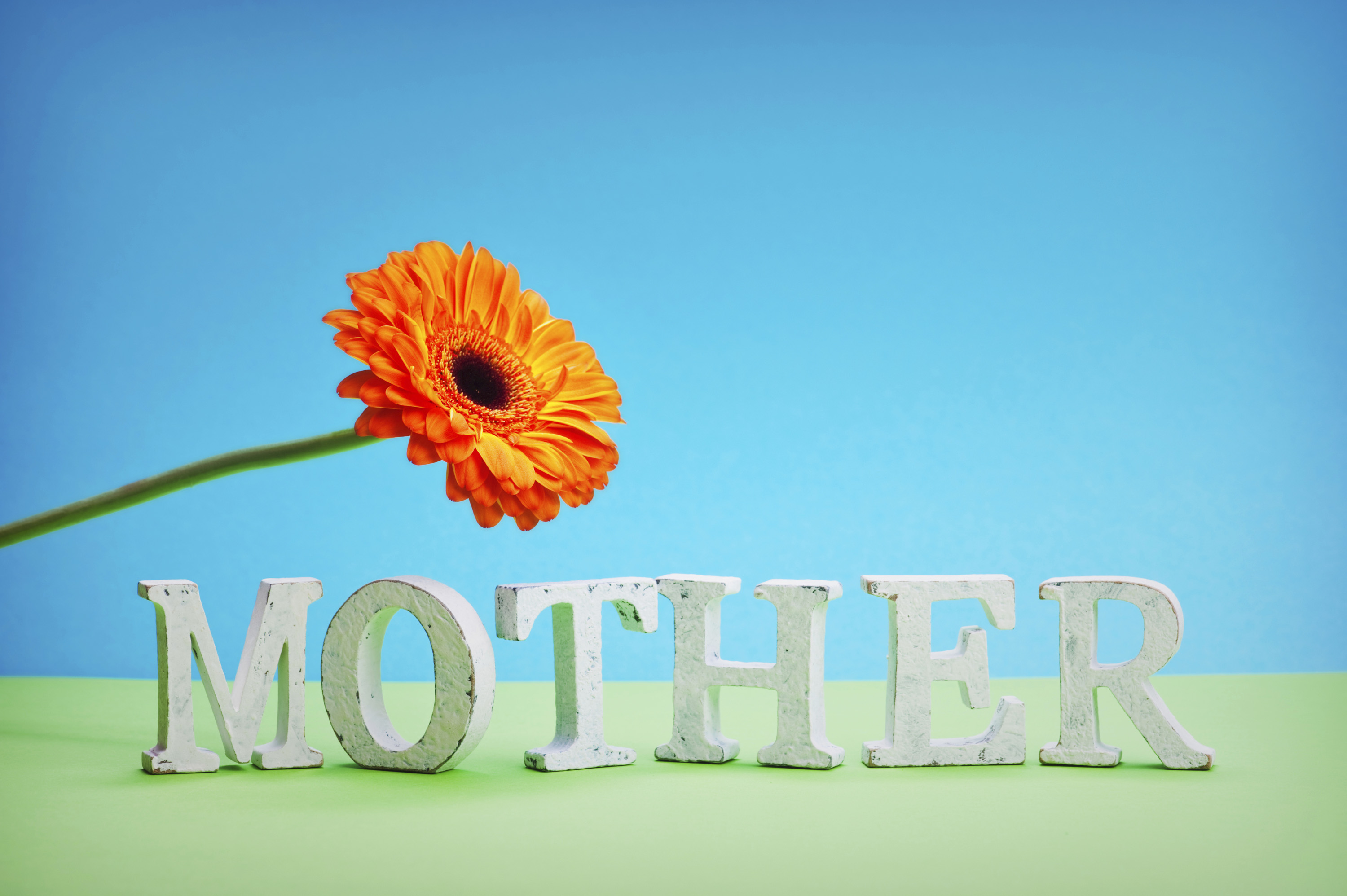 one day shipping mother's day gifts